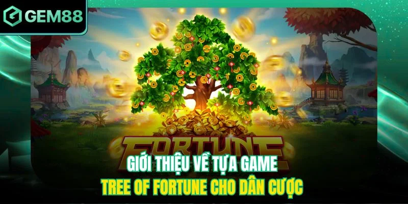 Giới thiệu về tựa game Tree of Fortune cho dân cược 